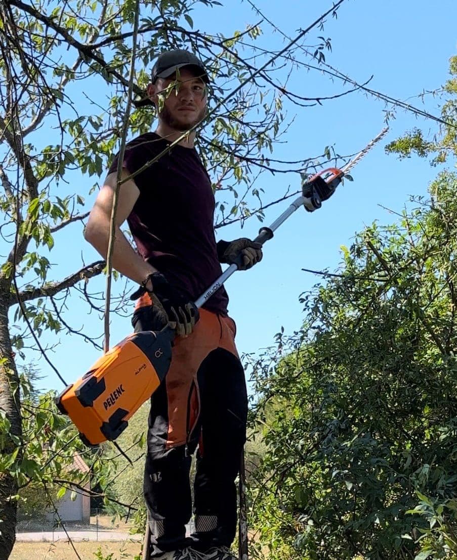 Jardin méditerranéen luxuriant avec oliviers et lavande