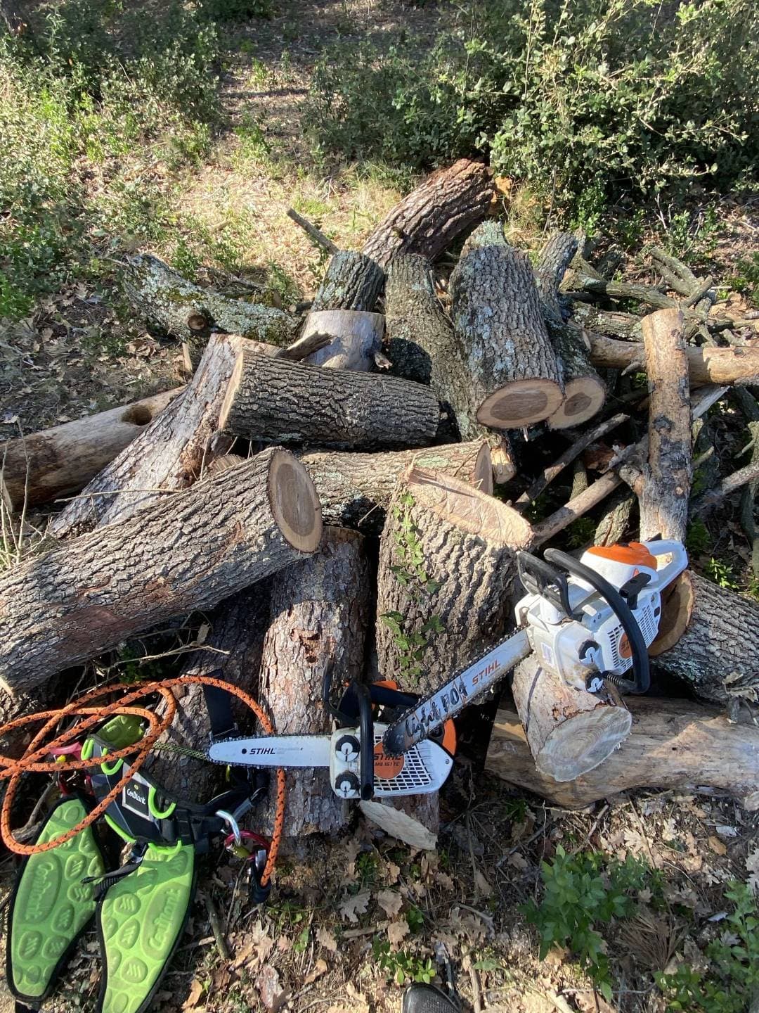 Abattage et débitage d'arbres après intervention