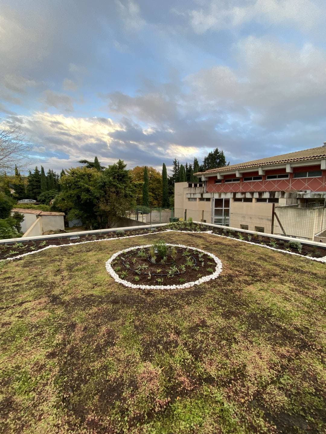 Création d'une toiture végétalisée avec plantations, substrat et sedum